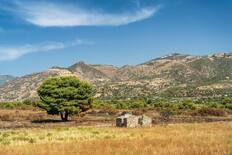 A rural Calabrian scene, in nearby Trebisacce