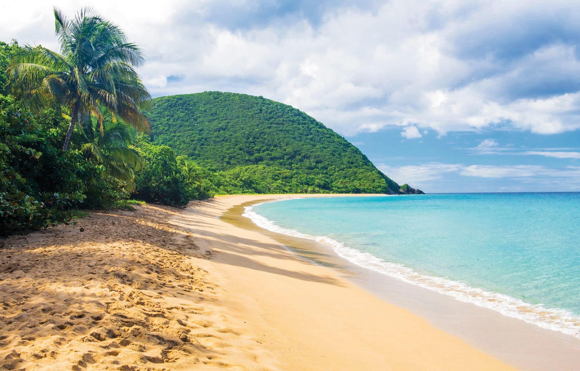 Sandy beach in Pointe-à-Pitre, Guadeloupe
