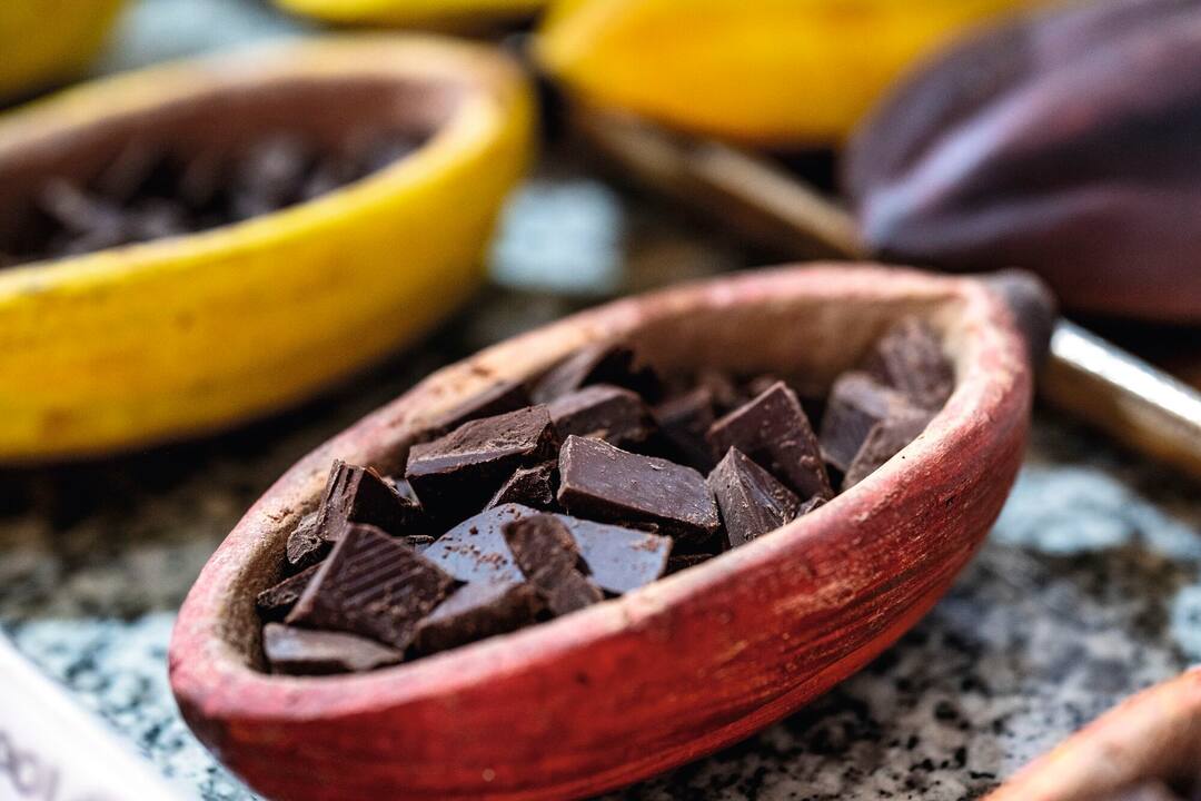Chocolate Making, Dominican Republic
