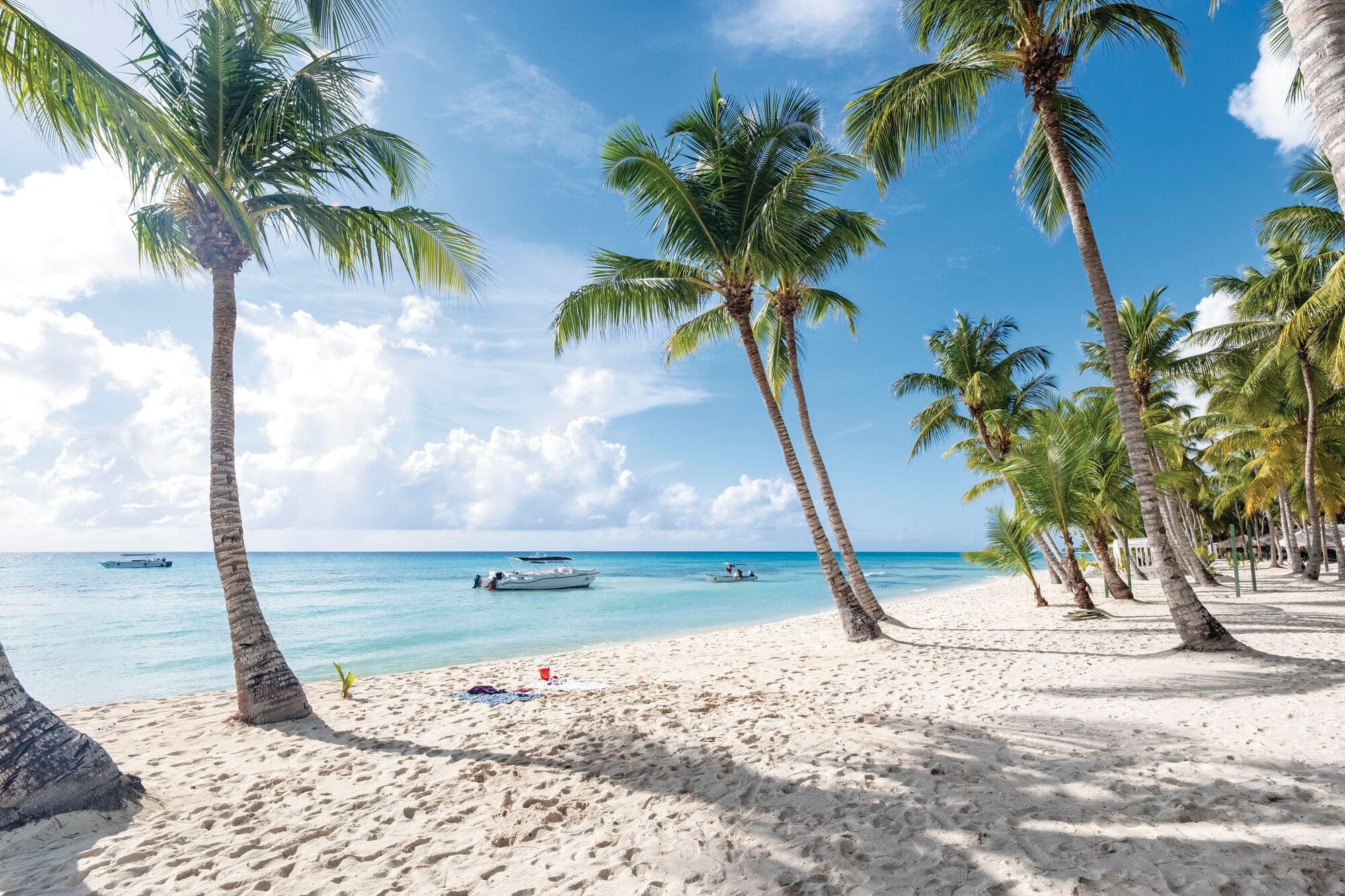 Tropical beach paradise with palm trees, white sand, and crystal-clear turquoise water under blue skies.