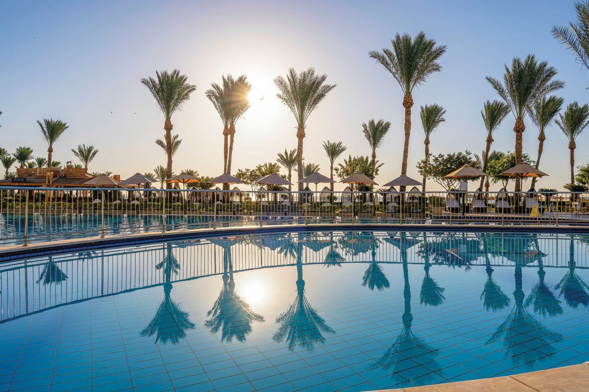 Palm trees being reflected in a circular swimming pool.