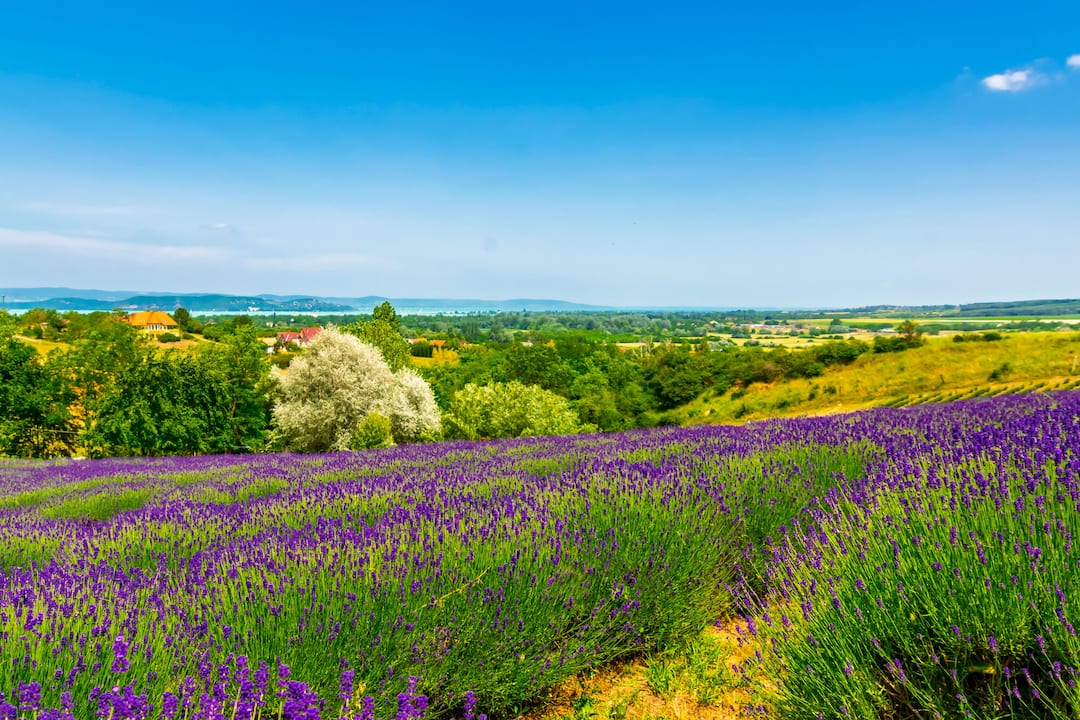 Balatonfüred, Hungary