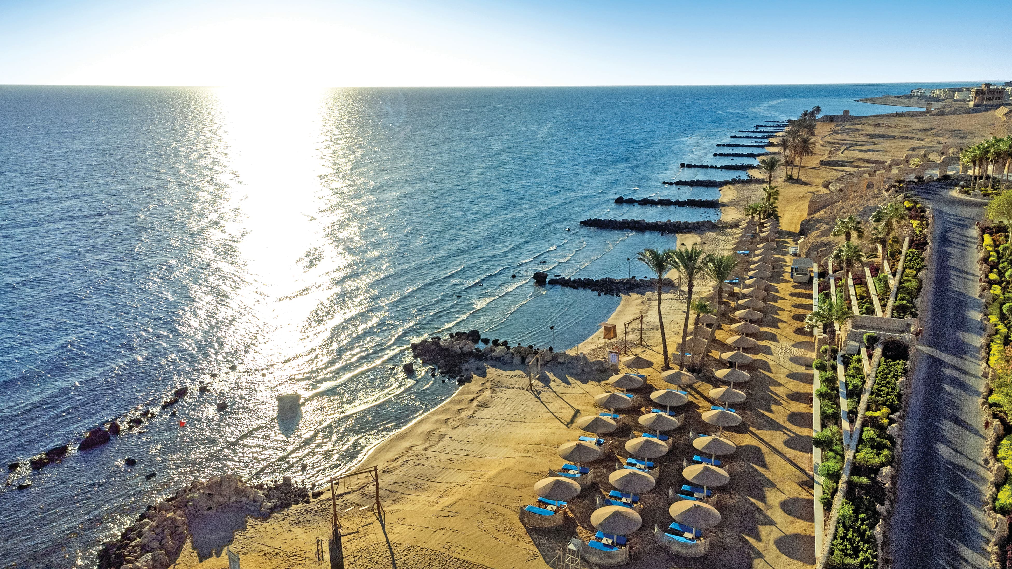 Overhead view of a sandy beach lined with thatched parasols.