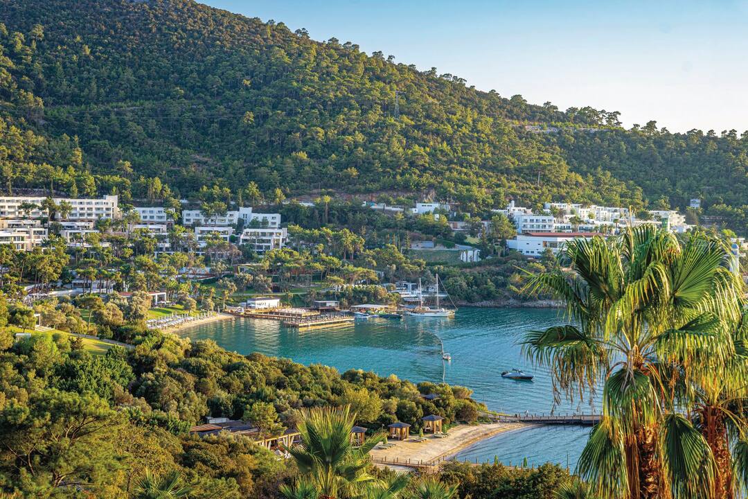 A view of Torba