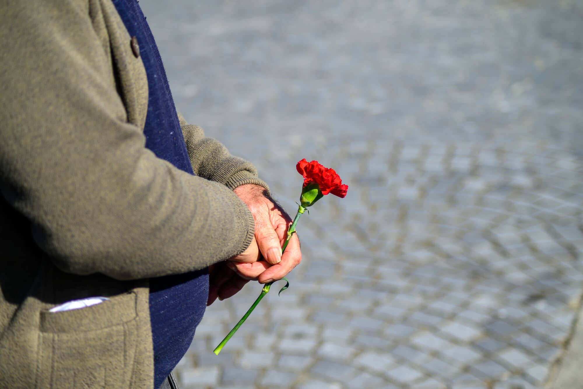 Person holding a red carnation flower with both hands on a paved outdoor surface.