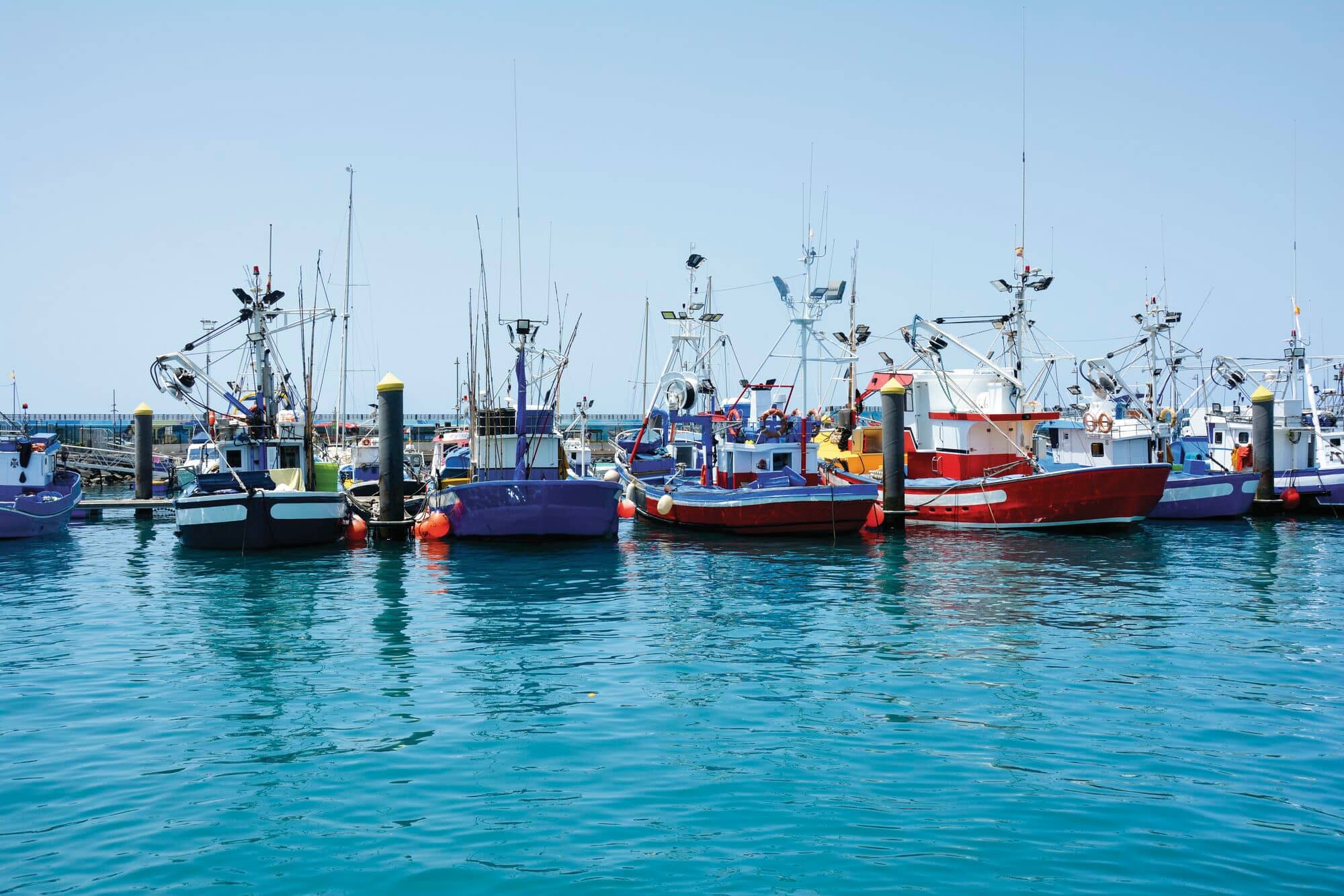 Colourful fishing boats moored side by side in a marina, with nets, masts and rigging visible above calm turquoise water. Clear blue skies and harbour pontoons create a bright coastal scene.