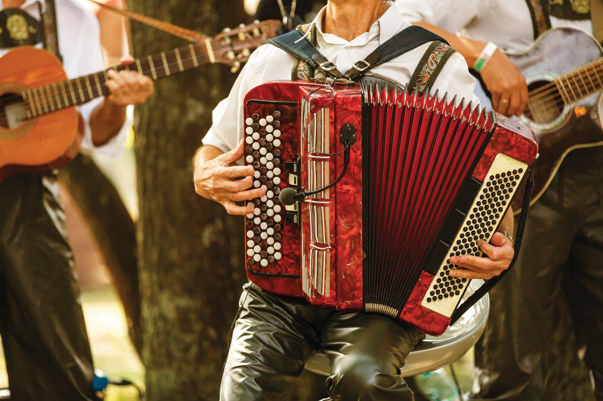 Close up on man playing accordion with two men playing the guitar in the background.