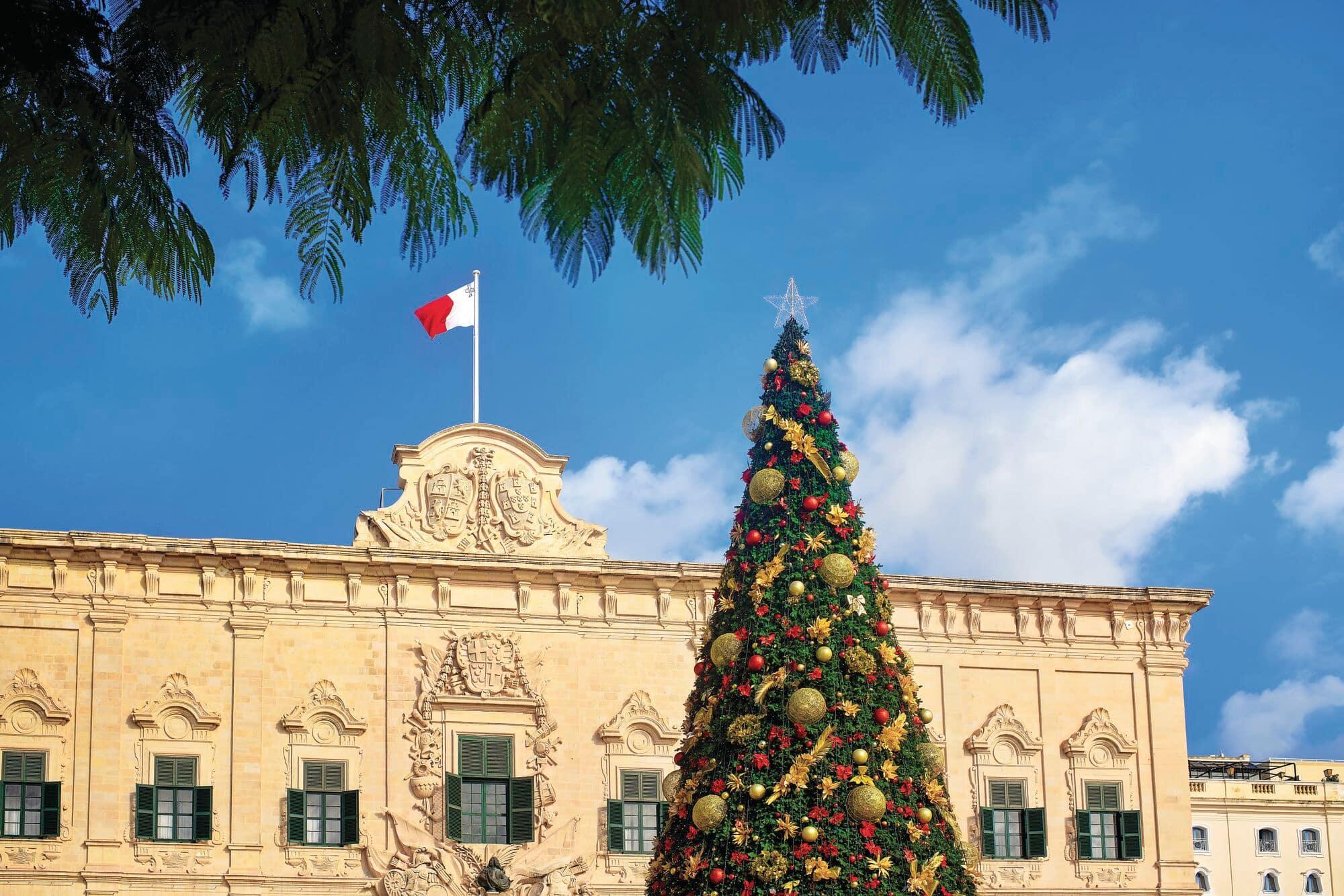 Decorated Christmas tree stands in front of an ornate historic building topped with a national flag. Framed by leafy branches and set against a bright blue sky, the festive display adds seasonal charm to the city square.