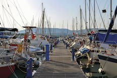 The marina