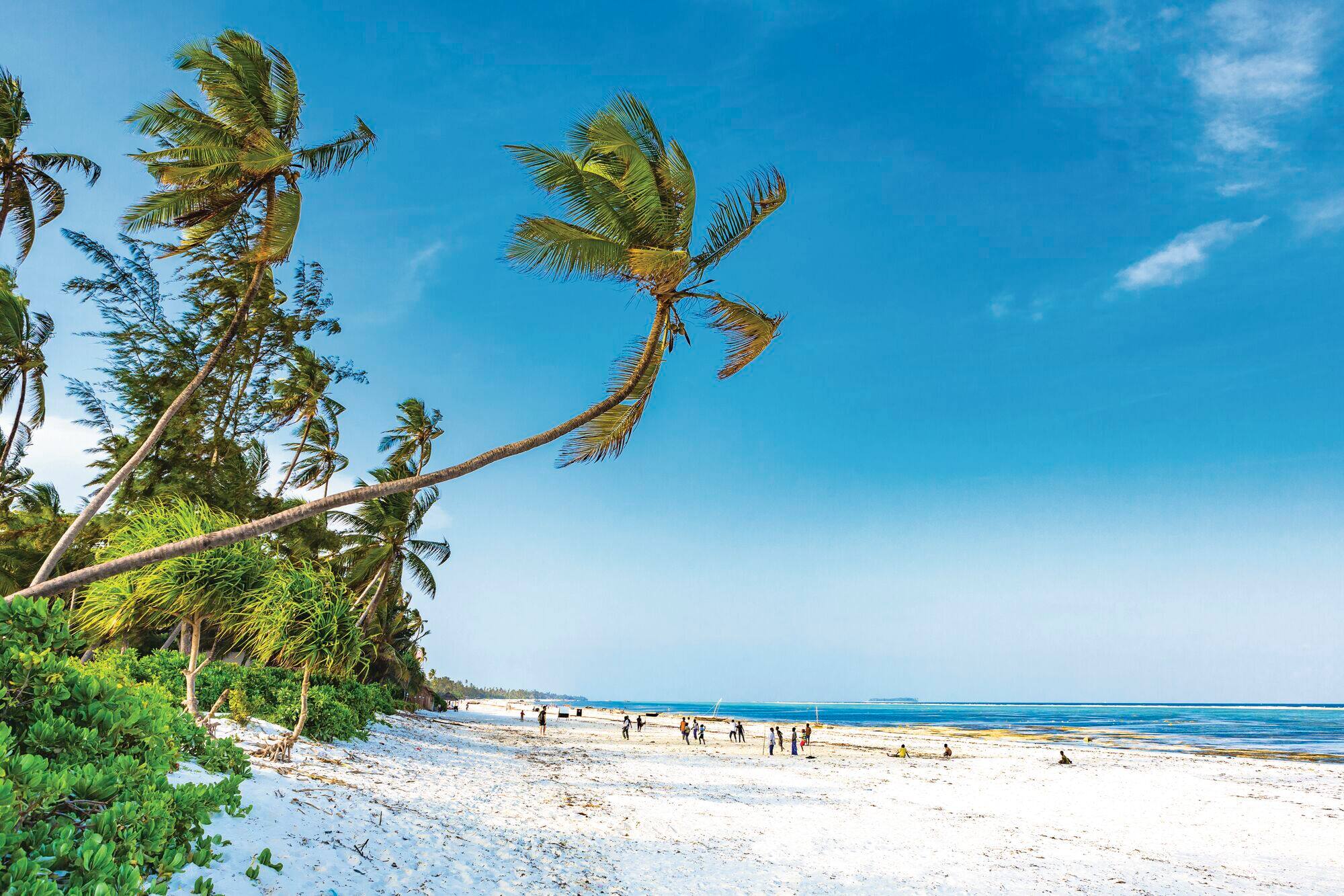 Swaying palm trees at Matemwe Beach.