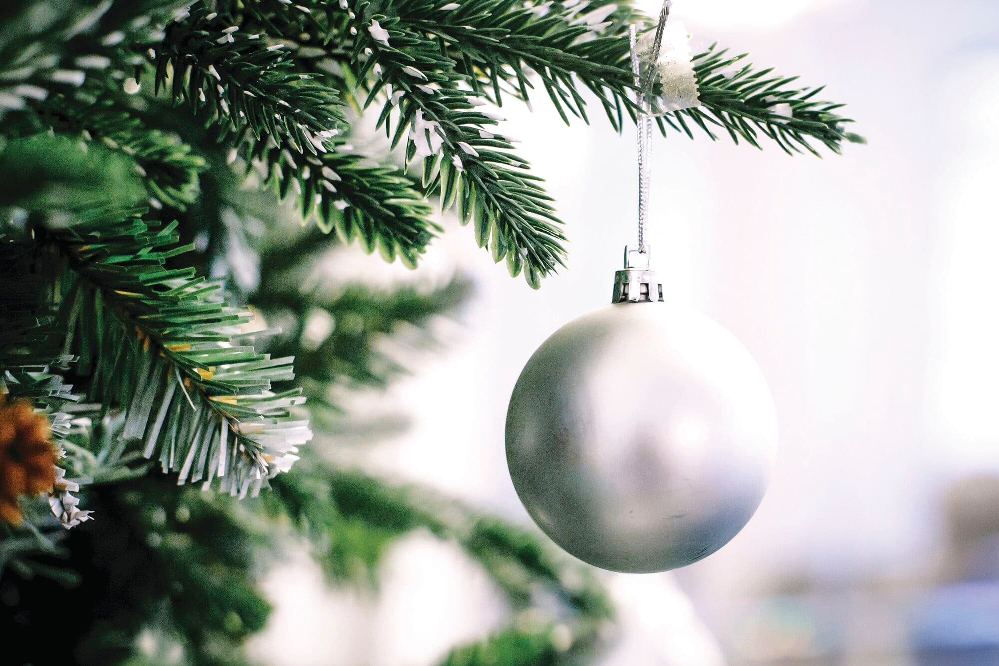 Christmas bauble hanging off a tree