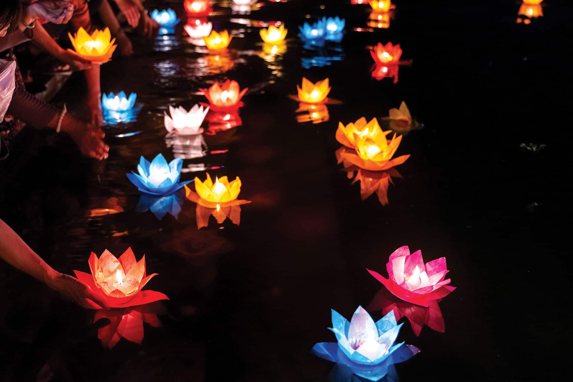 Colourful lotus-shaped lanterns float across dark water at night, their glowing lights reflected on the surface as people place lanterns into the water.