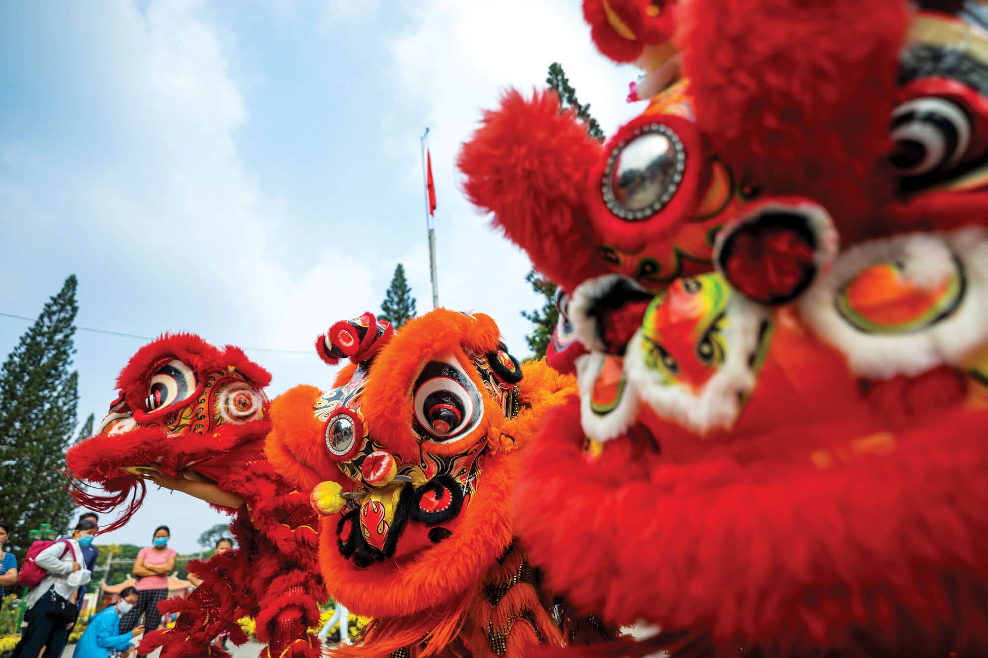 Bright red dragon dance costumes perform outdoors during a cultural celebration, with detailed patterns, fluffy trim and spectators gathered in the background.