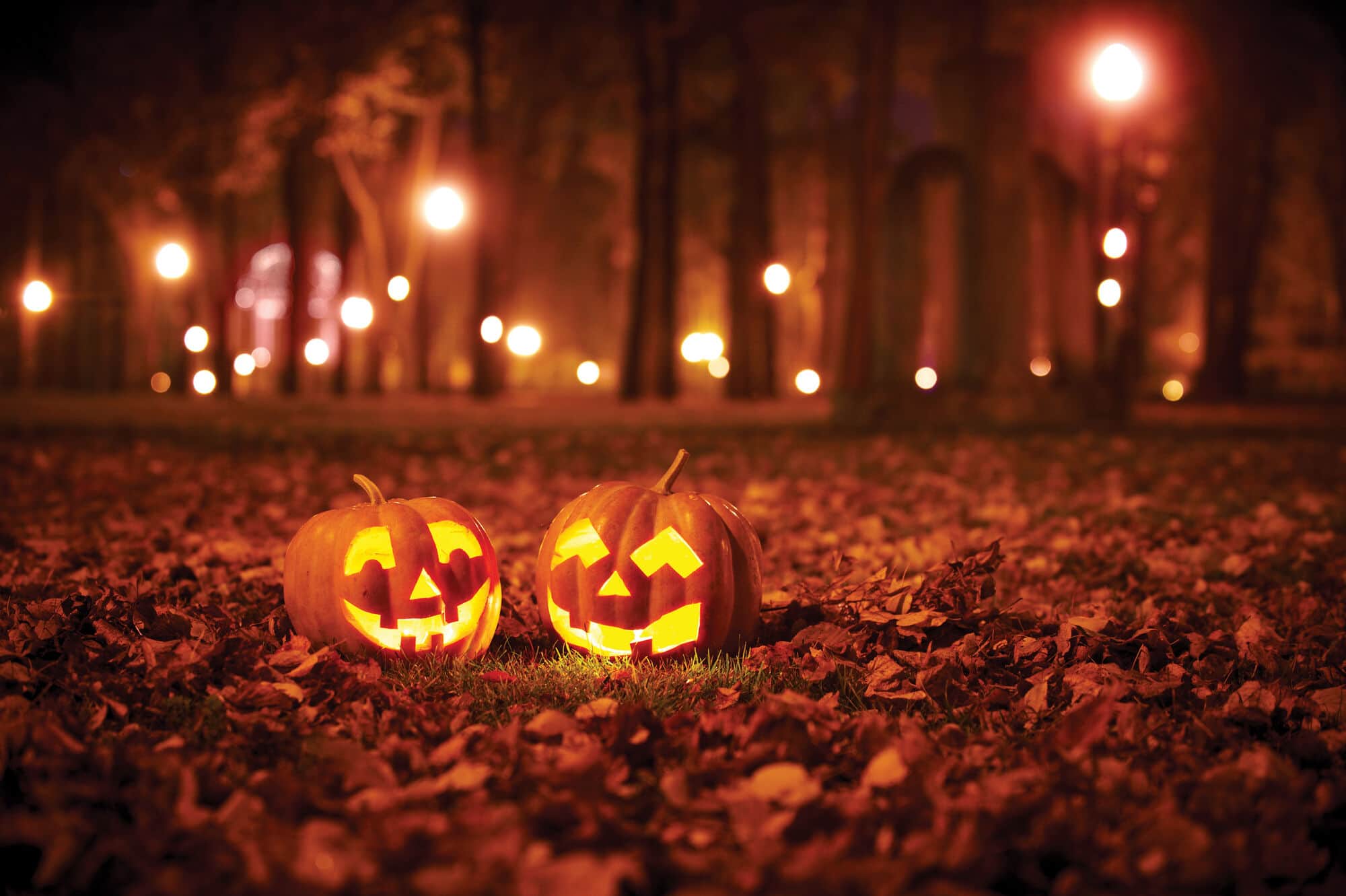Halloween pumpkins glowing among fallen leaves at night.