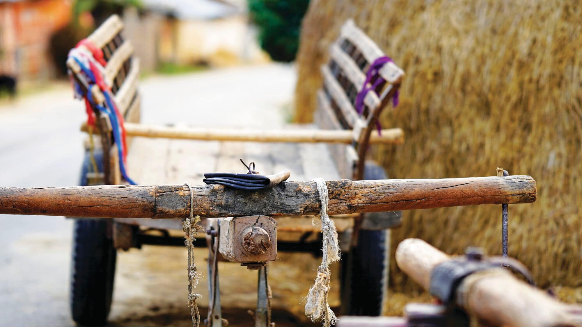 Close up of an ox cart 