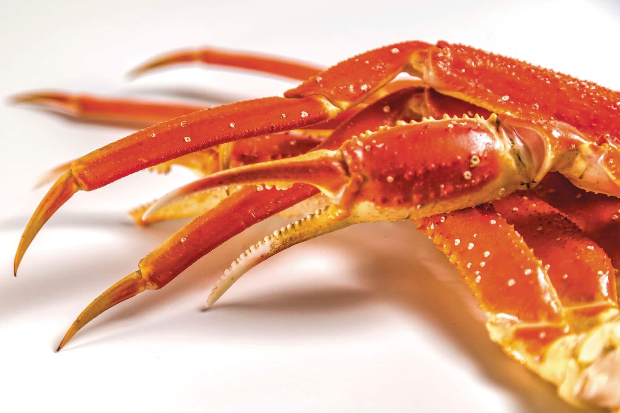 A close up of some cooked snow crab