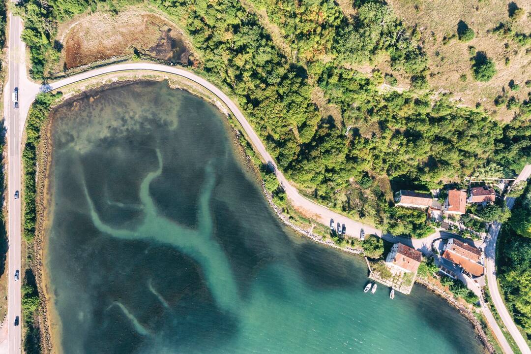 Tar, Croatia