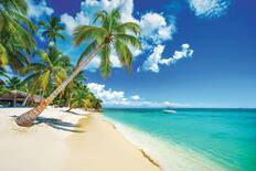 Saona Island, Dominican Republic